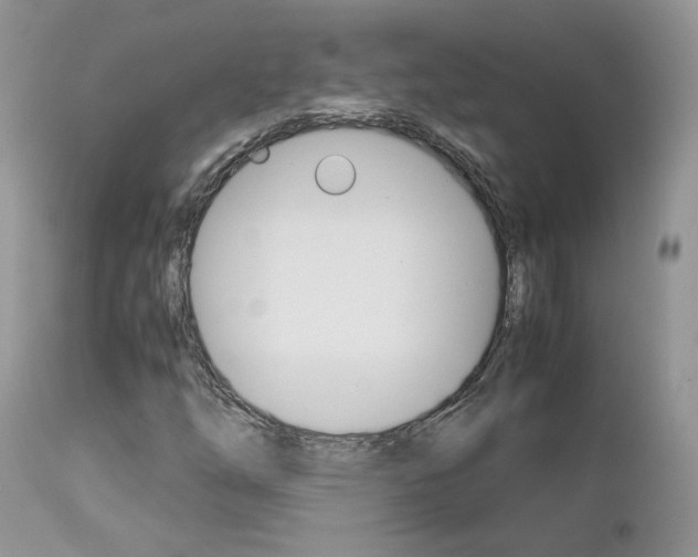X0000113111254200908281008