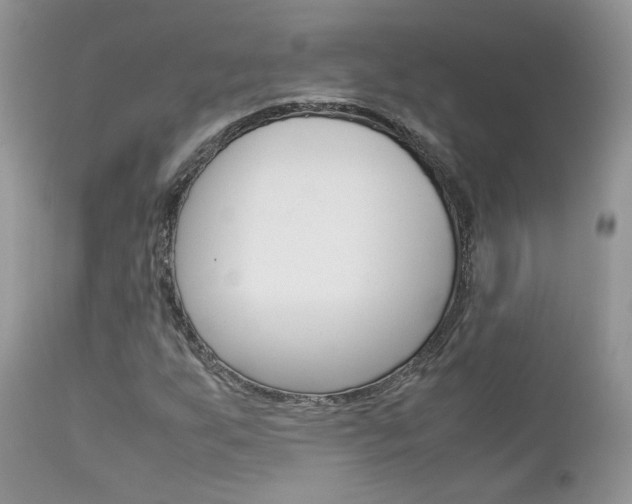 X0000113111255200908281008