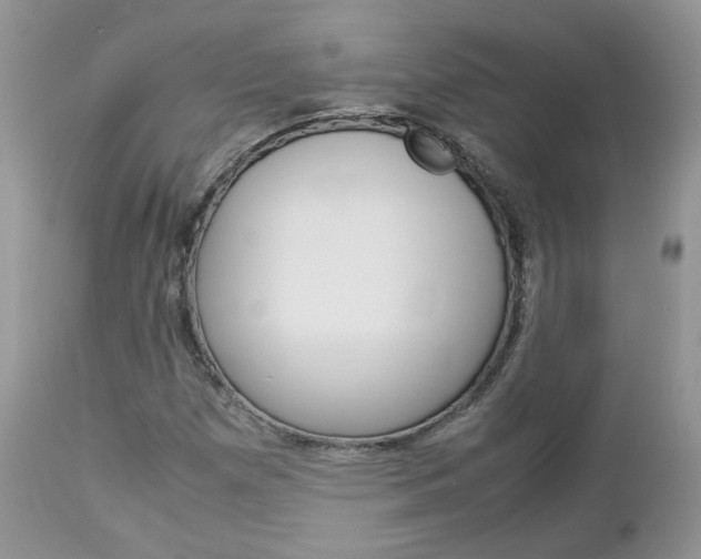 X0000113111257200908281008