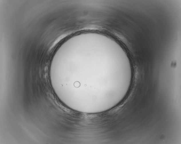 X0000113111258200908281008