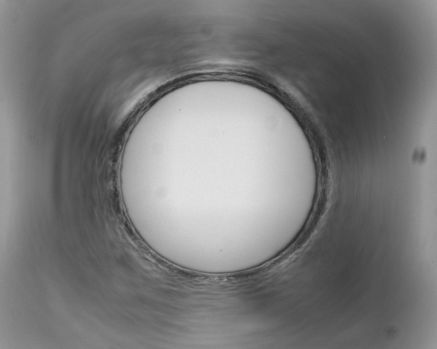 X0000113111259200908281008