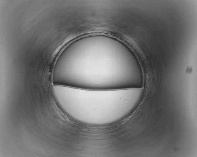 X0000113111260200908281008