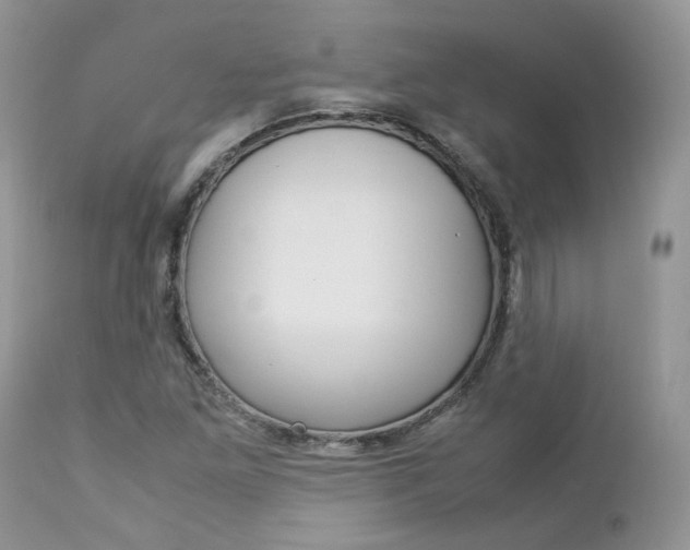 X0000113111261200908281008