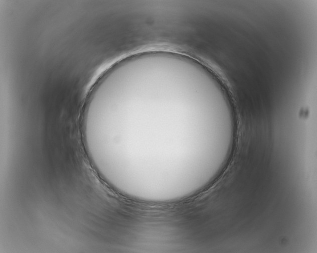 X0000113111264200908281008