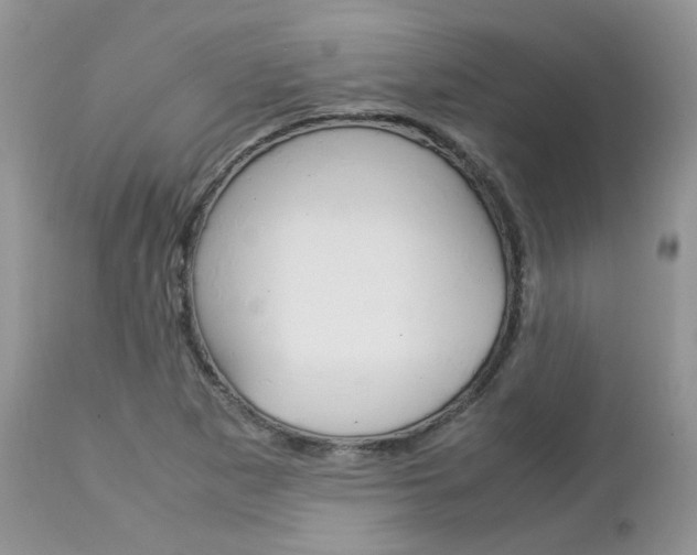 X0000113111265200908281008