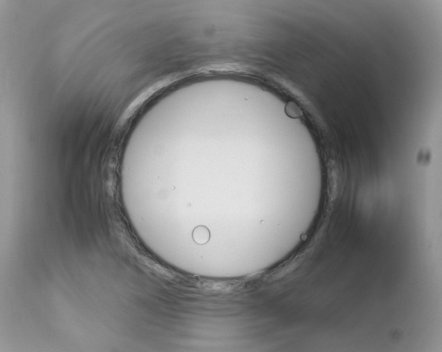 X0000113111266200908281008