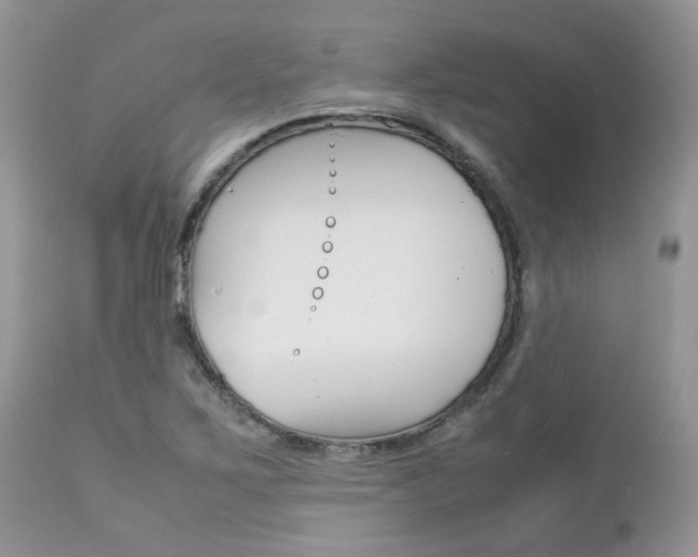 X0000113111267200908281008