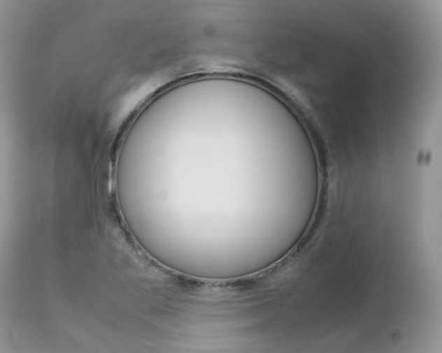 X0000113111269200908281008