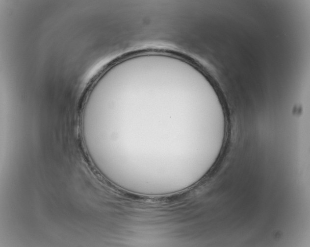 X0000113111271200908281008