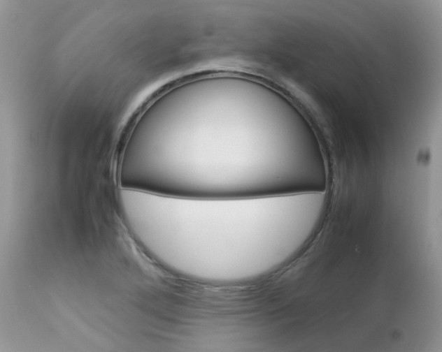X0000113111272200908281008
