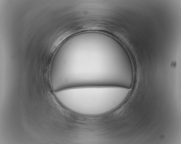 X0000113111273200908281008