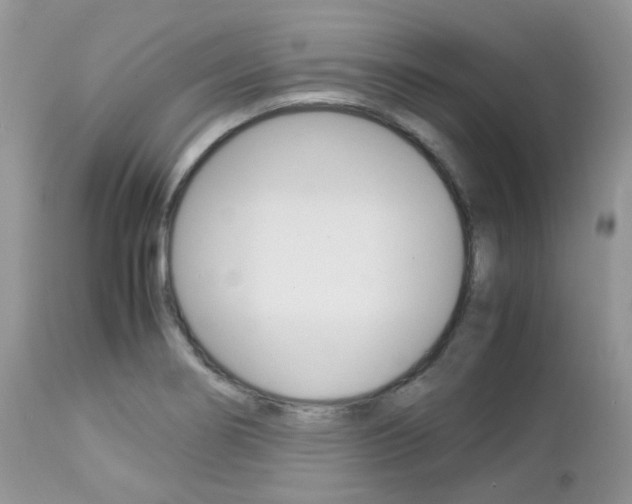 X0000113111274200908281008