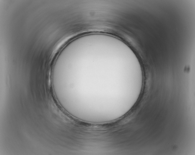 X0000113111275200908281008