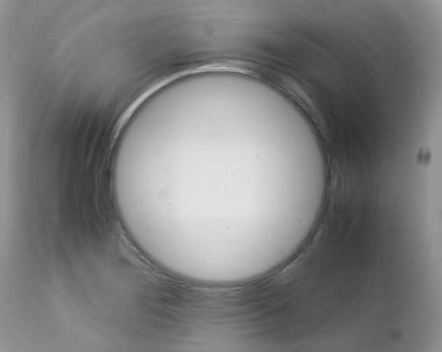 X0000113111276200908281008