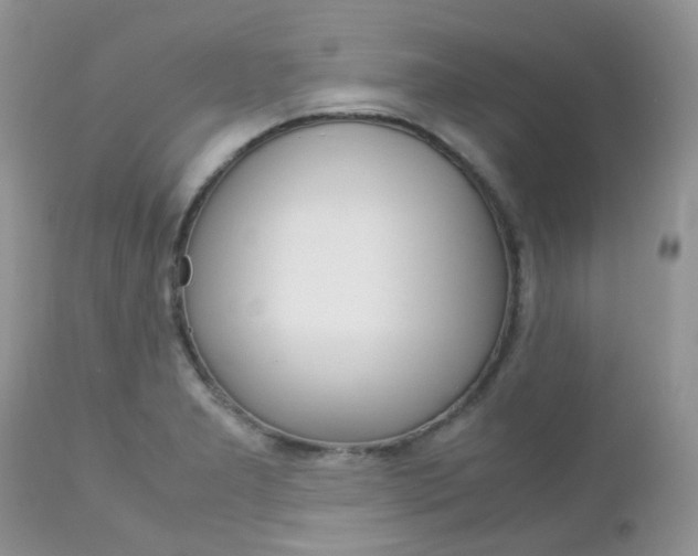 X0000113111277200908281008