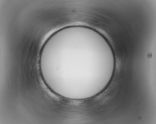 X0000113111278200908281008