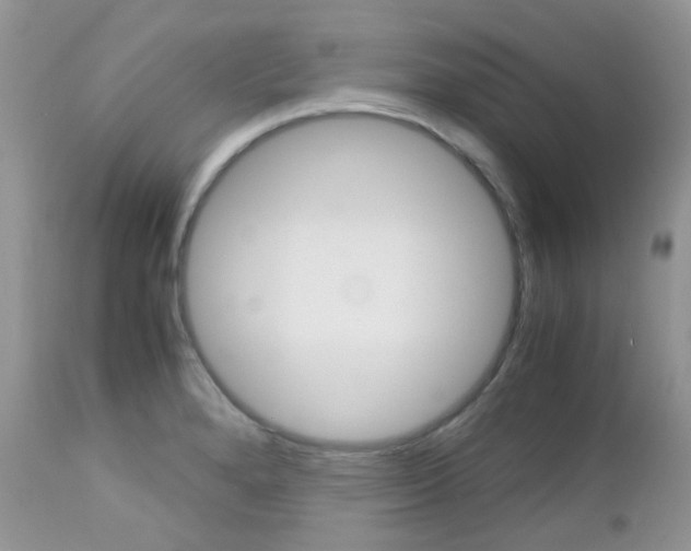X0000113111280200908281008