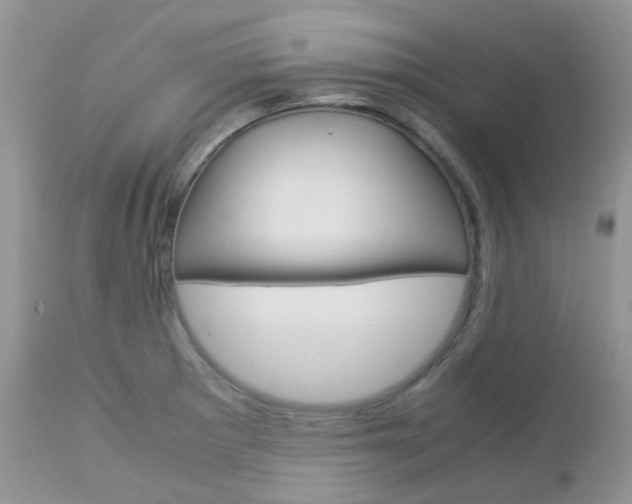 X0000113111281200908281008