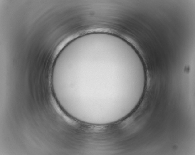 X0000113111282200908281008