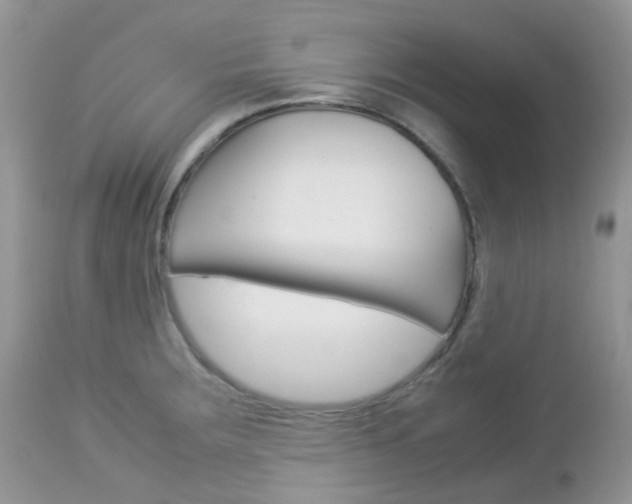 X0000113111283200908281008