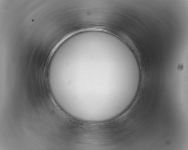 X0000113111284200908281008