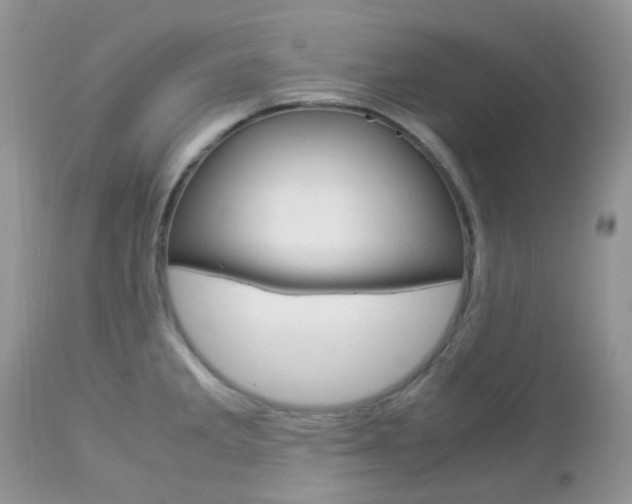X0000113111285200908281008