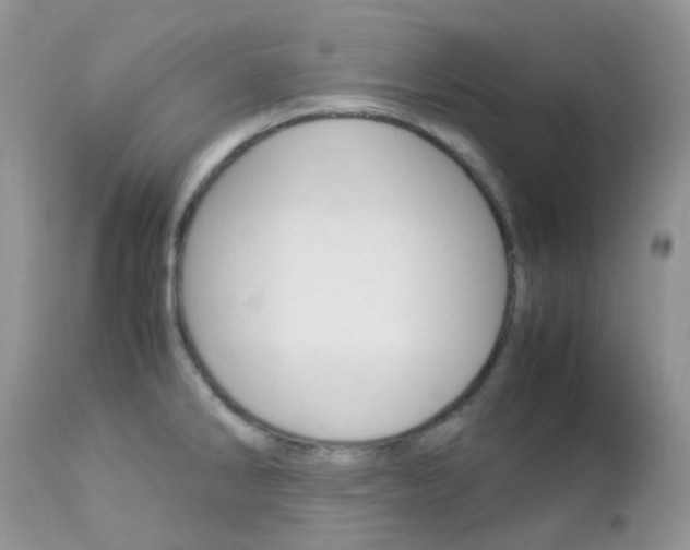 X0000113111286200908281008