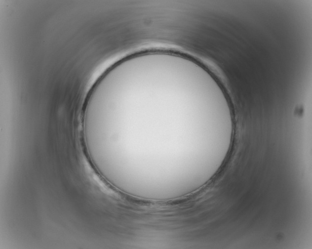 X0000113111287200908281008