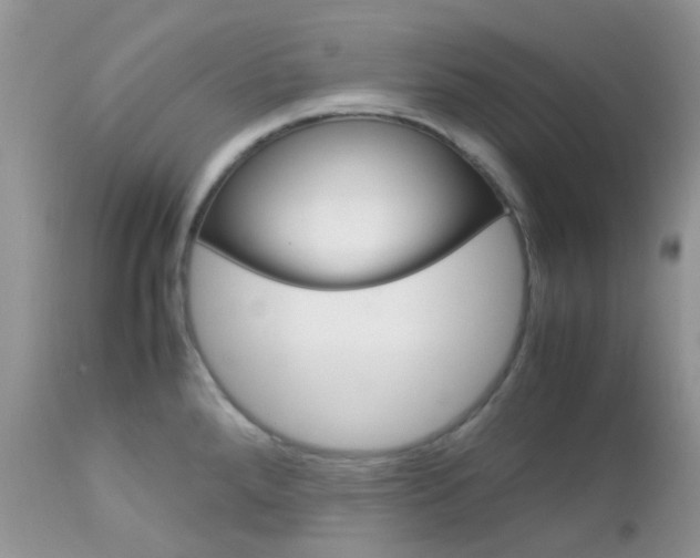 X0000113111288200908281008