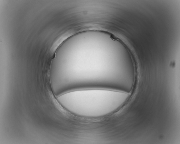 X0000113111289200908281008