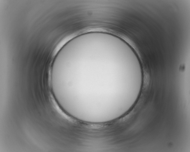 X0000113111290200908281008