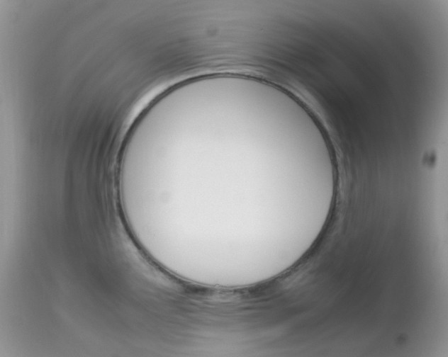 X0000113111291200908281008
