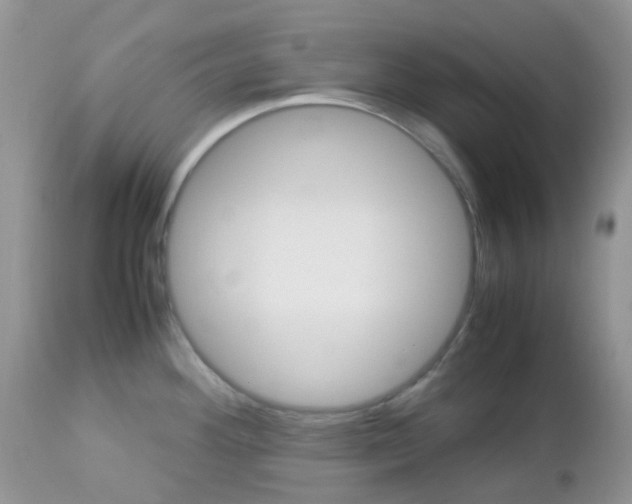 X0000113111292200908281008