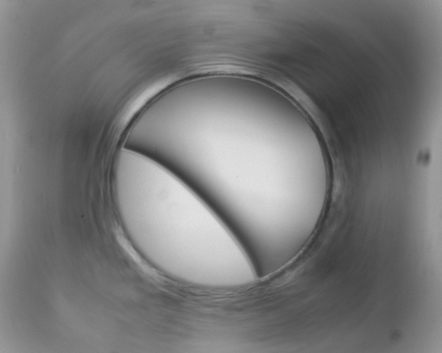 X0000113111293200908281008