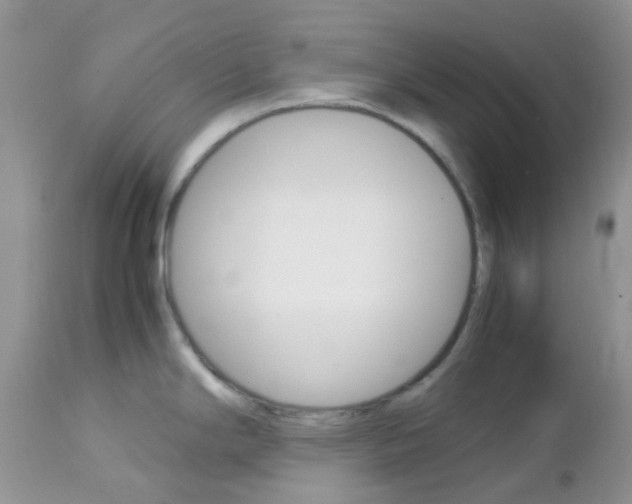 X0000113111294200908281008
