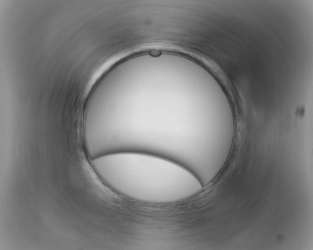 X0000113111295200908281008