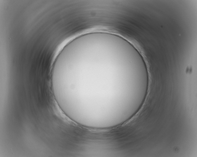 X0000113111296200908281008