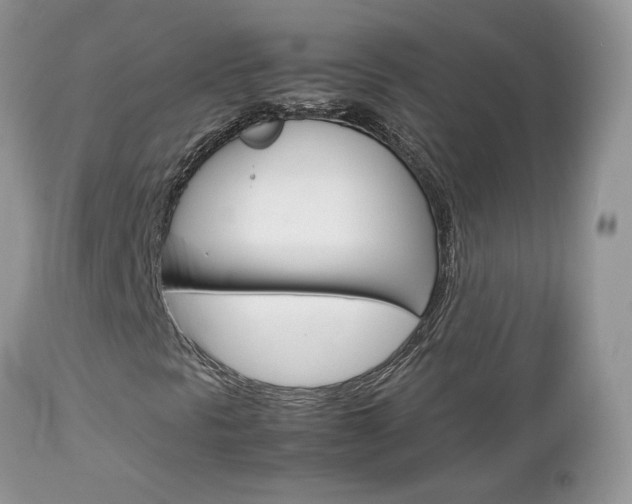 X0000113111297200908281007