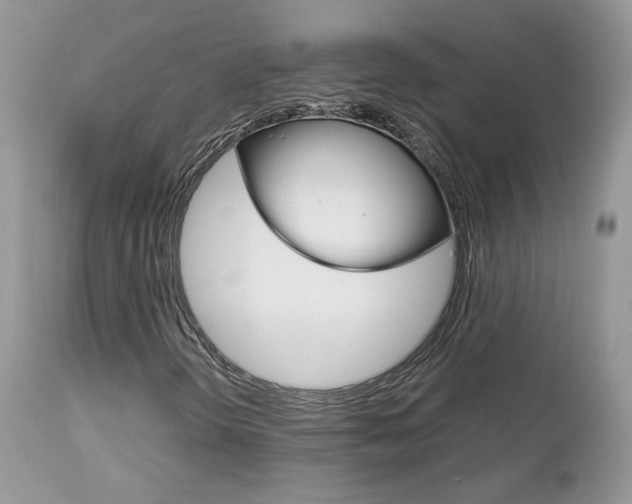 X0000113111298200908281007