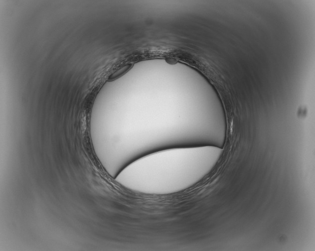 X0000113111299200908281007