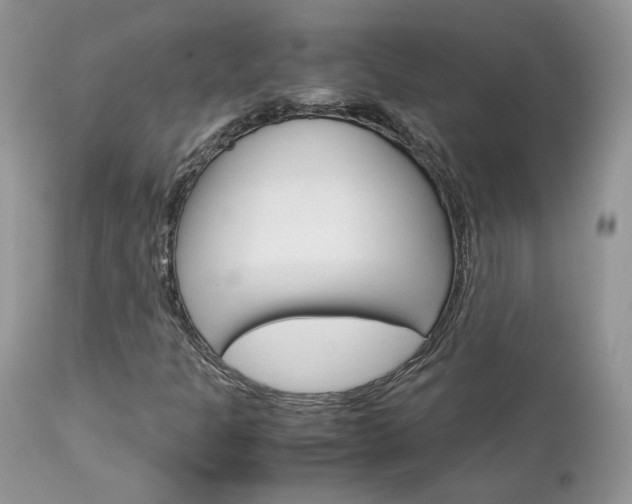 X0000113111301200908281007