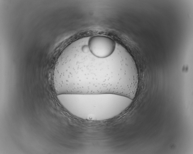 X0000113111302200908281007