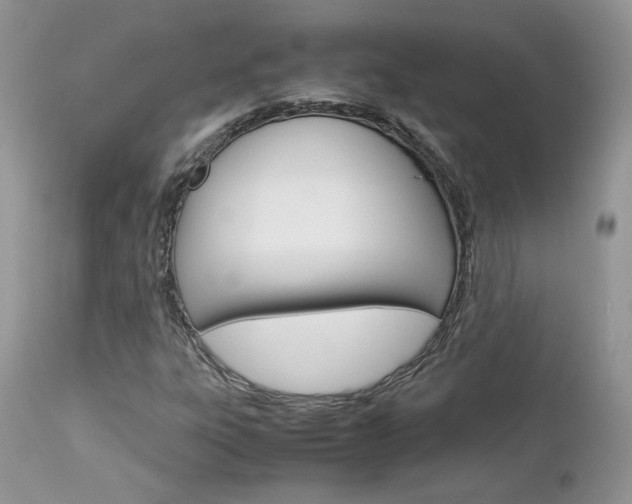 X0000113111303200908281007