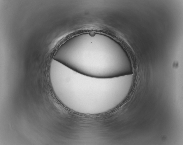 X0000113111304200908281007