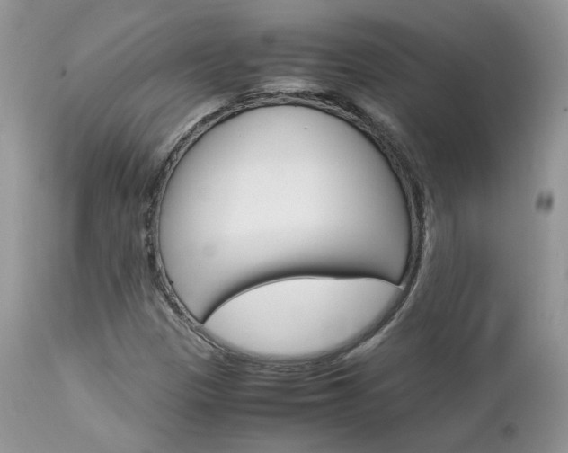 X0000113111305200908281007