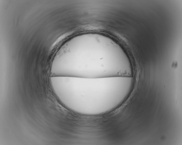 X0000113111306200908281007