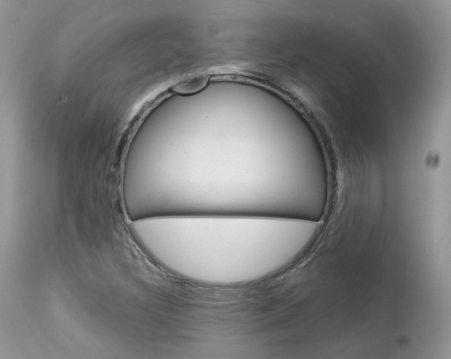 X0000113111308200908281007