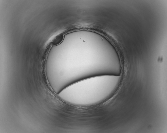 X0000113111309200908281007
