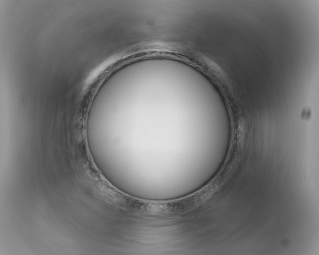 X0000113111310200908281007