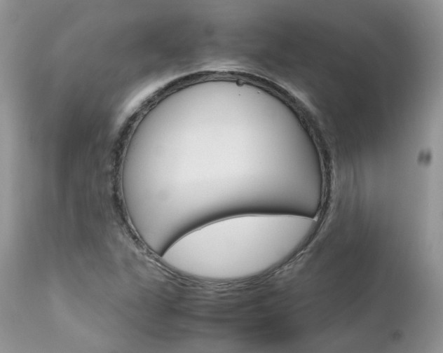 X0000113111311200908281007